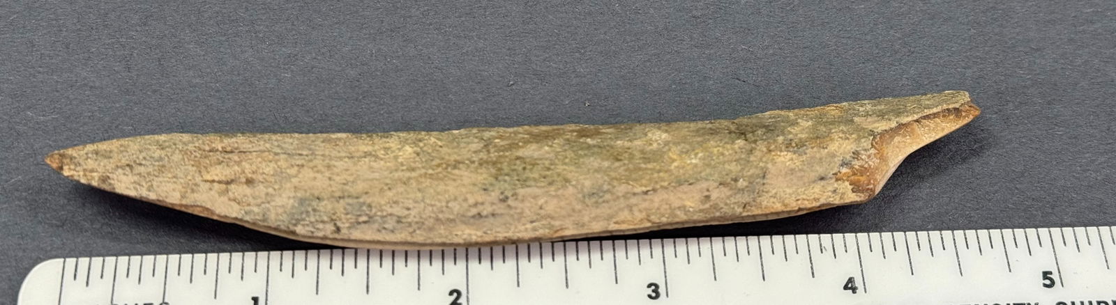 European Paleolithic Bone Point. - 6