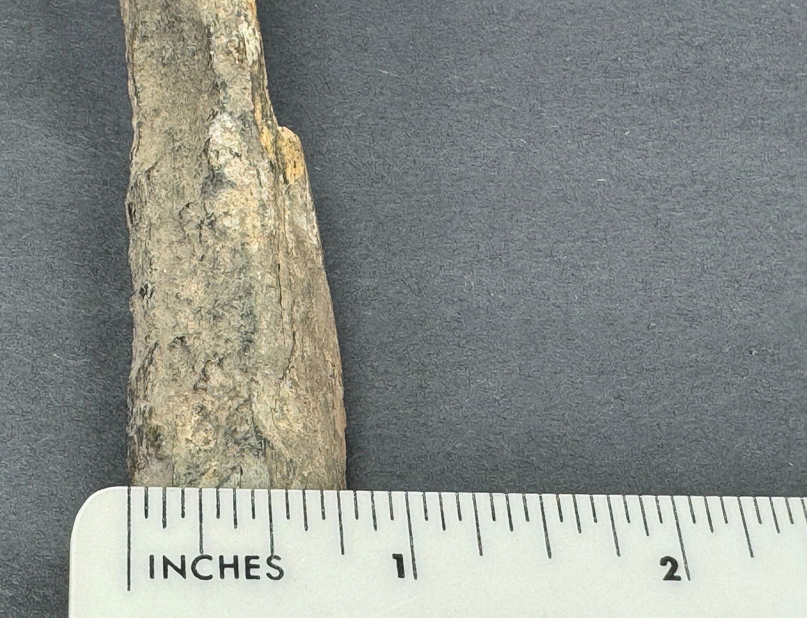 European Paleolithic Bone Point. - 7