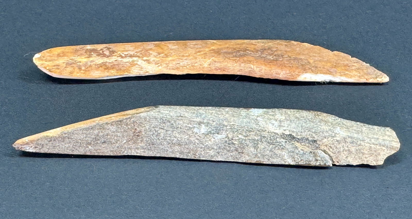 Two European Paleolithic Bone Points. - 3