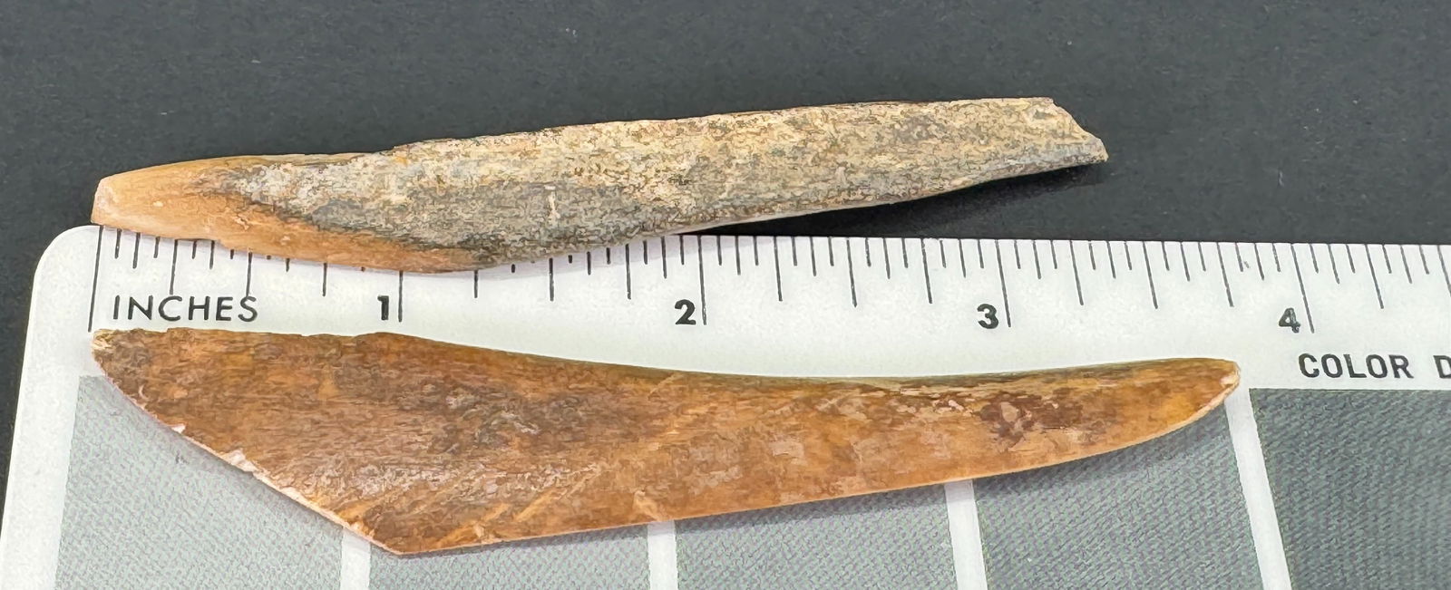 Two European Paleolithic Bone Points. - 5