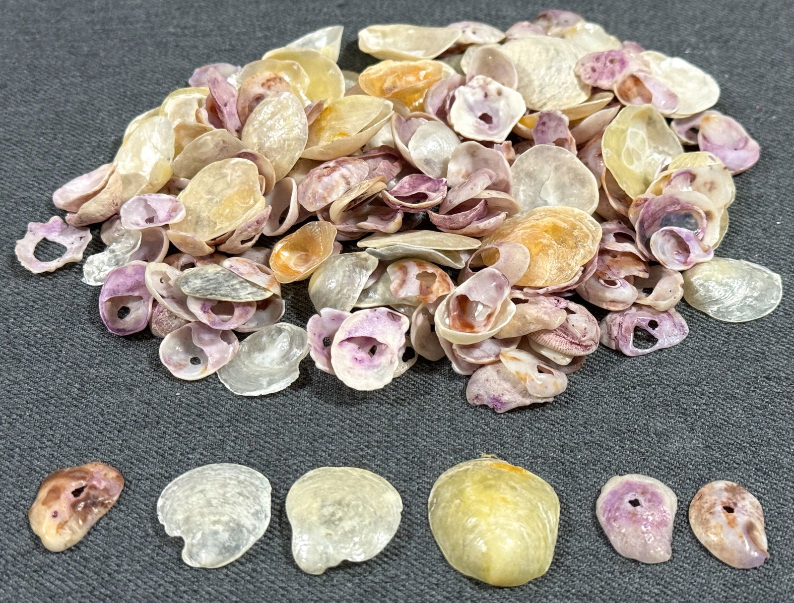 Vintage some dyed shell loose beads for jewelry crafts making: IN HOUSE FLAT SHIPPING & HANDLING COST WITHIN ALL THE U.S. : 7 To bypass LiveShipping, and use our In-House shipping service for 7 or shipping combined for multiple lots, please select “Arrange Your