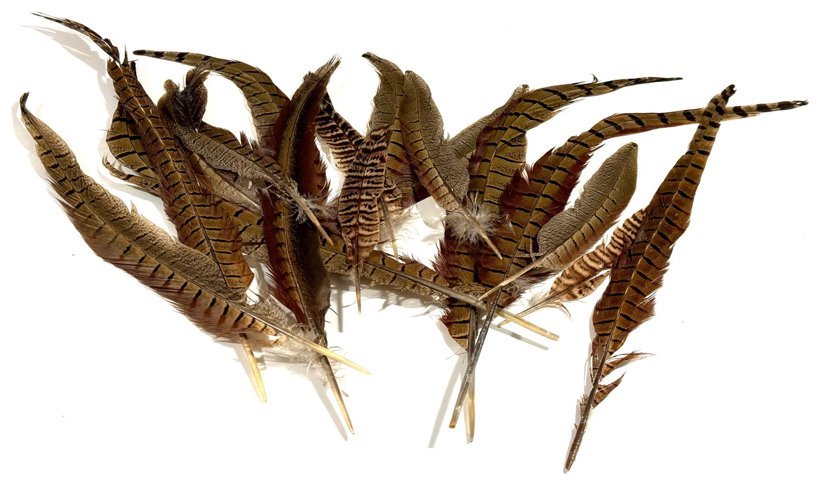 Vintage / Antique millinery assorted brown feathers (1 of 10)
