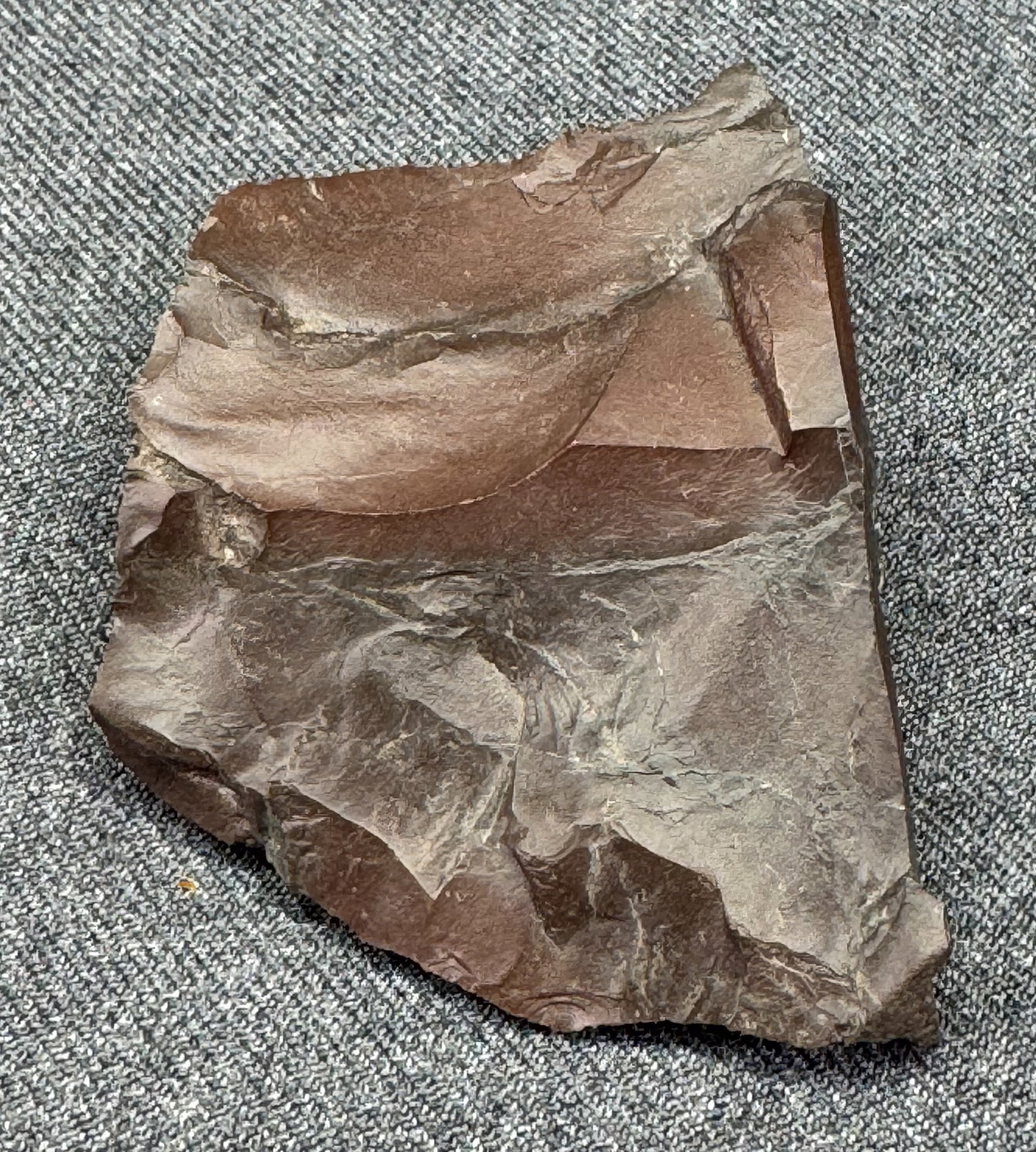 South American Patagonia Argentina Neolithic Stone Scraper *c: South American Patagonia Argentina Neolithic Stone Scraper. For measures please refer to the pictures taken with a measuring tape. Weight: 58 Grams. IN HOUSE FLAT SHIPPING & HANDLING COST WITHIN ALL T