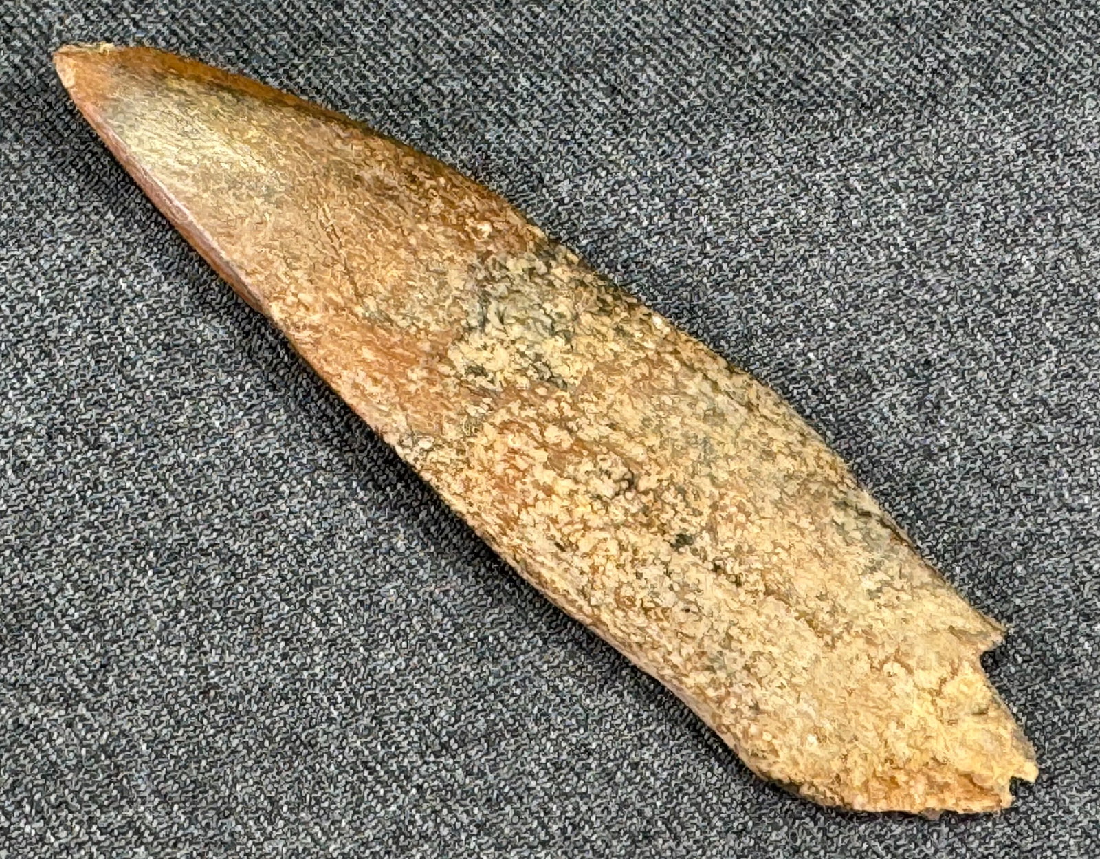 European Paleolithic Bone Point . (1 of 8)