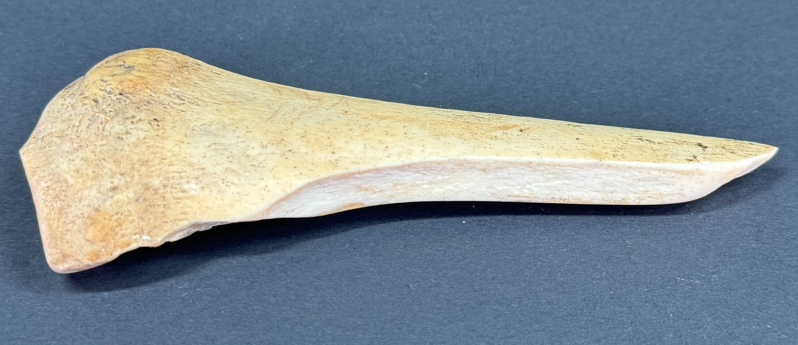 European Neolithic Bone Point.: IN HOUSE FLAT SHIPPING & HANDLING COST WITHIN ALL THE U.S. : 7 To bypass LiveShipping, and use our In-House shipping service for 7 or shipping combined for multiple lots, please select “Arrange Your