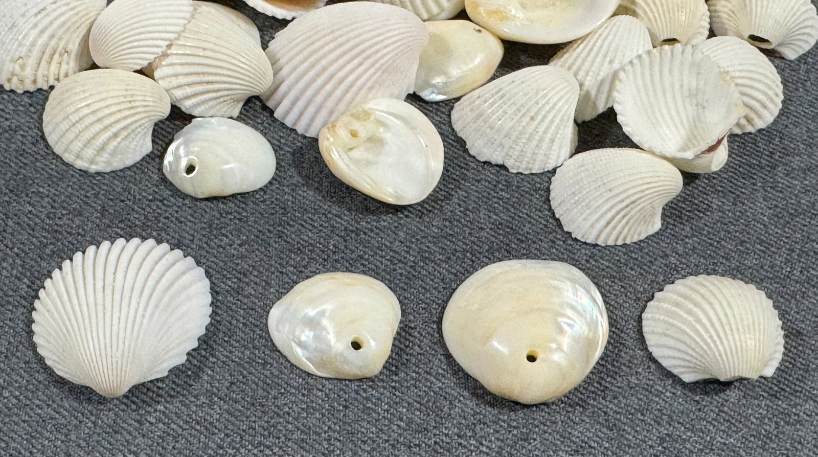 Vintage shell loose beads for jewelry crafts making: IN HOUSE FLAT SHIPPING & HANDLING COST WITHIN ALL THE U.S. : 7 To bypass LiveShipping, and use our In-House shipping service for 7 or shipping combined for multiple lots, please select “Arrange Your