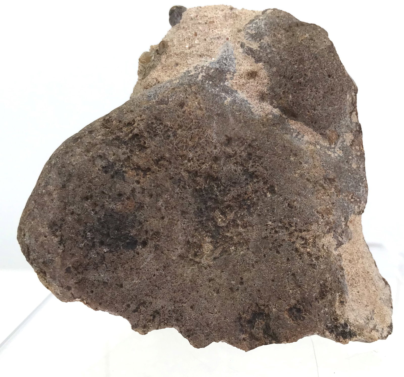 South American Patagonian Neolithic Serrated Stone Scraper (1 of 6)