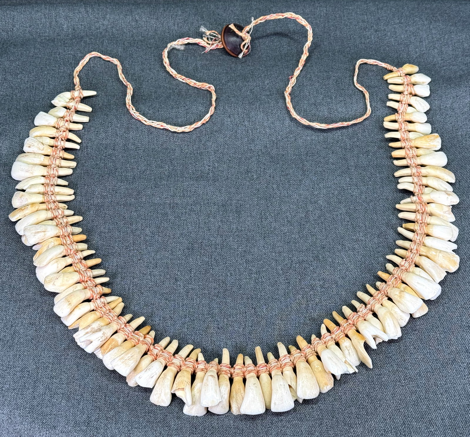 Old Native American Buffalo Teeth Necklace. 77 Buffalo teeth, Buckeye seed, cord. Superb example.: IN HOUSE FLAT SHIPPING & HANDLING COST WITHIN ALL THE U.S. : $12 To bypass LiveShipping, and use our In-House shipping service for $12 or shipping combined for multiple lots, please select “Arrange