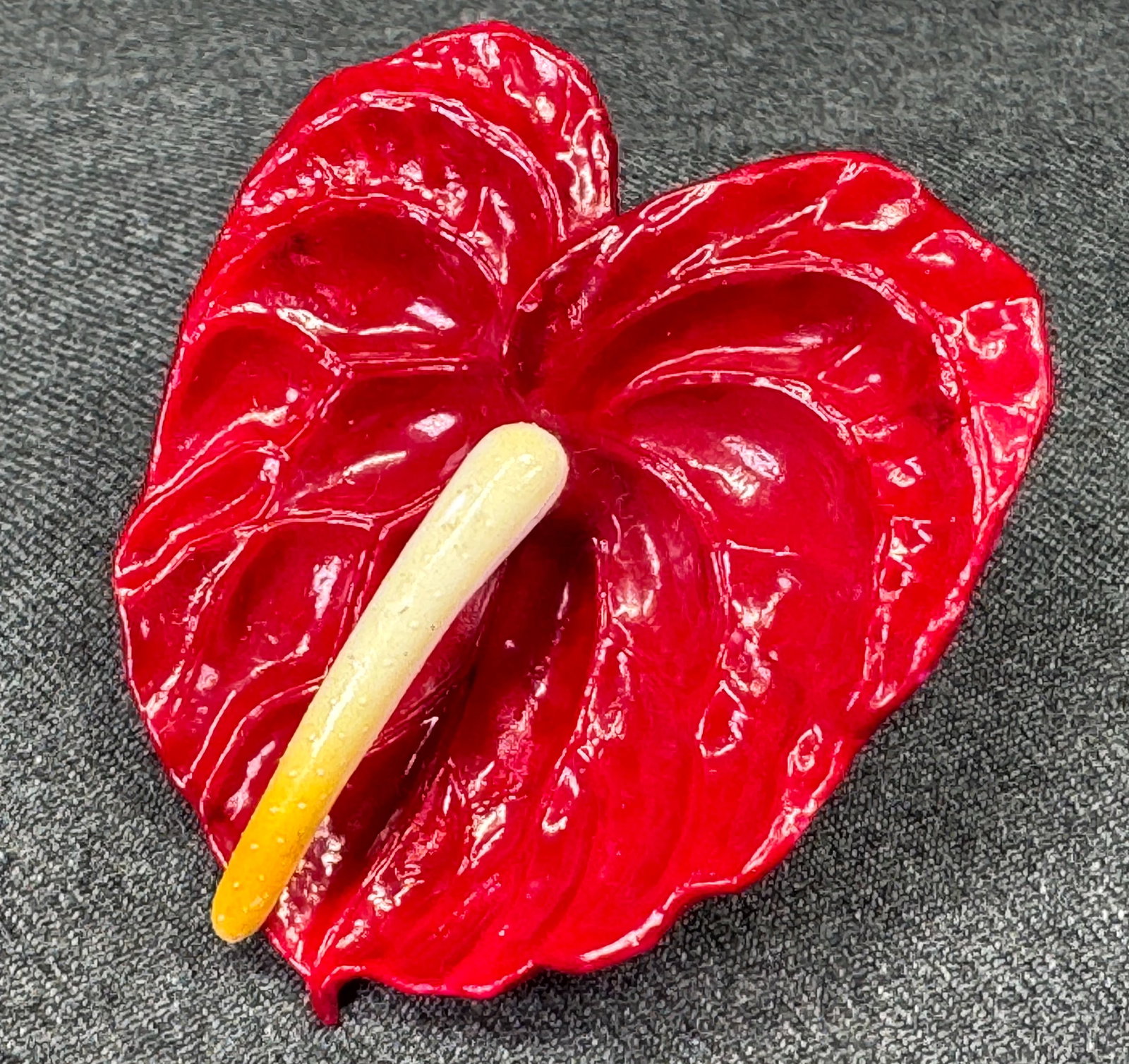 Vintage West Germany Anthurium Flower Celluloid Brooch Pin *c: Vintage West Germany Anthurium Flower Celluloid Brooch Pin. Marked. For measures please refer to the pictures taken with a measuring tape. Weight: 5 Grams. IN HOUSE FLAT SHIPPING & HANDLING COST WITHI
