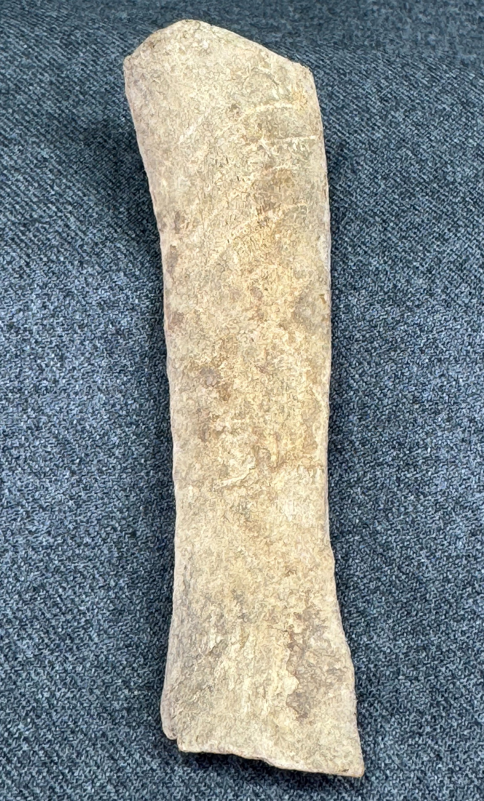 Patagonia Argentina Neolithic Bone with Marks. Old paper label from collection.: IN HOUSE FLAT SHIPPING & HANDLING COST WITHIN ALL THE U.S. : $7 To bypass LiveShipping, and use our In-House shipping service for $7 or shipping combined for multiple lots, please select “Arrange Yo
