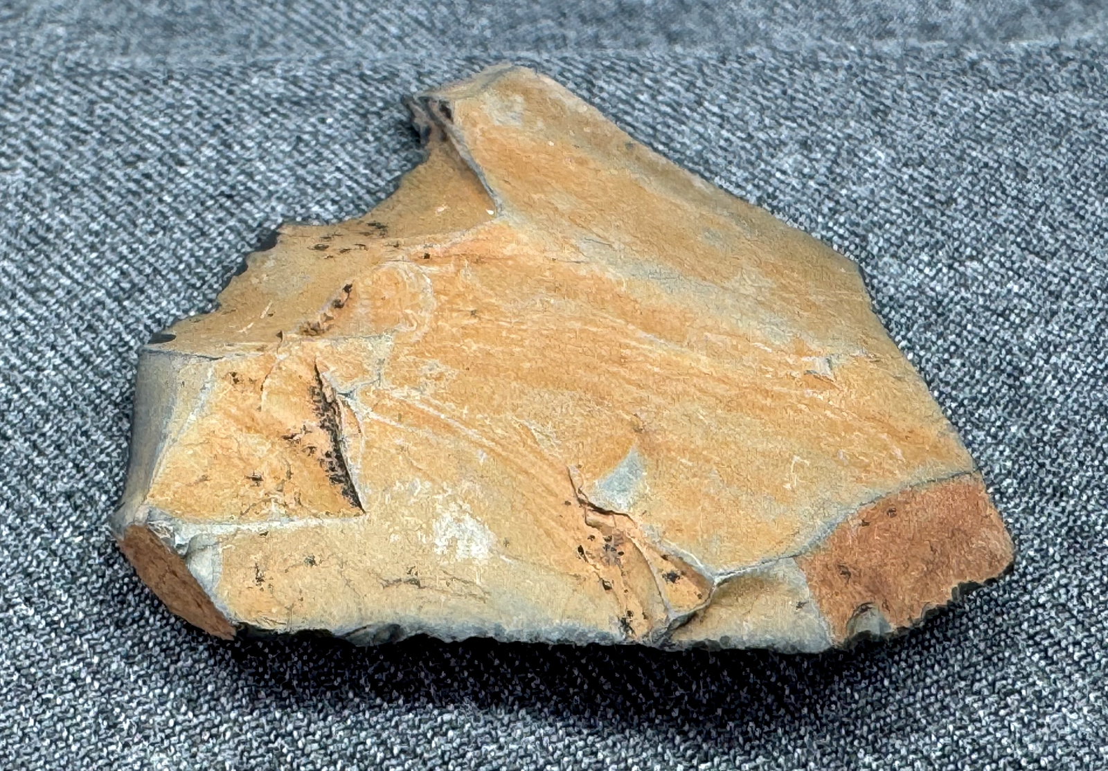 South American Patagonia Argentina Neolithic Stone Scraper. *c (1 of 7)