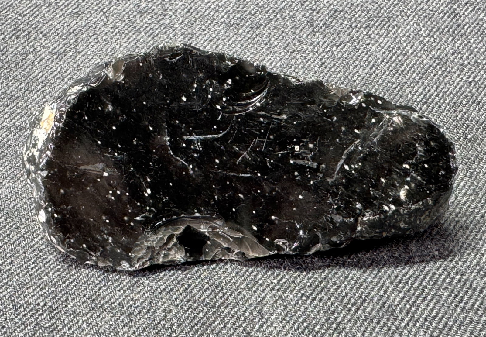 South American Patagonia Argentina Neolithic Unfinished Stone Scraper *c (1 of 5)