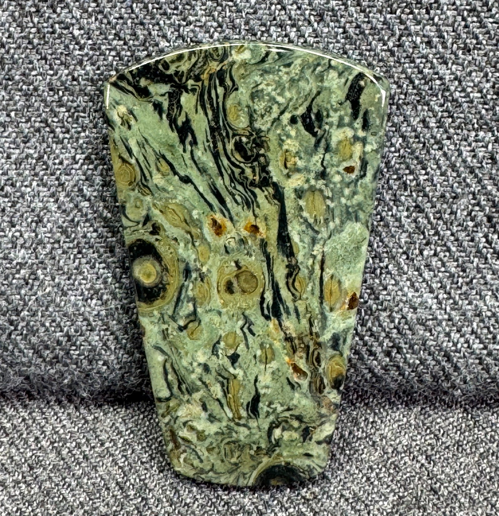 Polished Kambaba Crocodile Jasper Shield Cabochon. Unused (1 of 5)