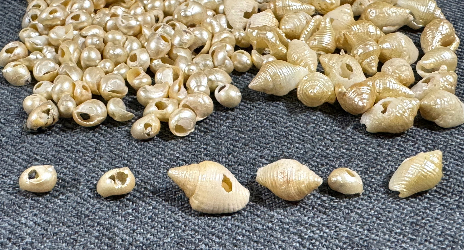 Vintage miniature painted shell loose beads for jewelry crafts making (1 of 5)