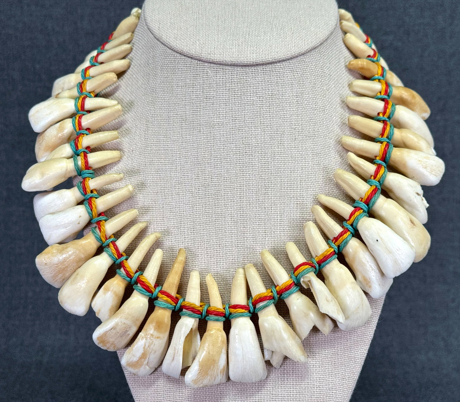 Native American Buffalo Teeth Necklace.: IN HOUSE FLAT SHIPPING & HANDLING COST WITHIN ALL THE U.S. : 14 To bypass LiveShipping, and use our In-House shipping service for 14 or shipping combined for multiple lots, please select “Arrang