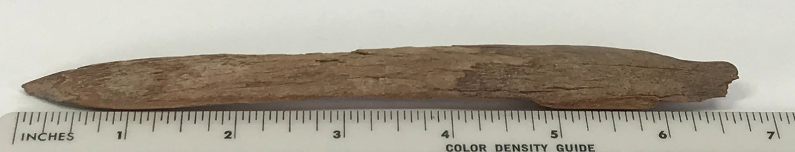 European Paleolithic Bone Point. - 5