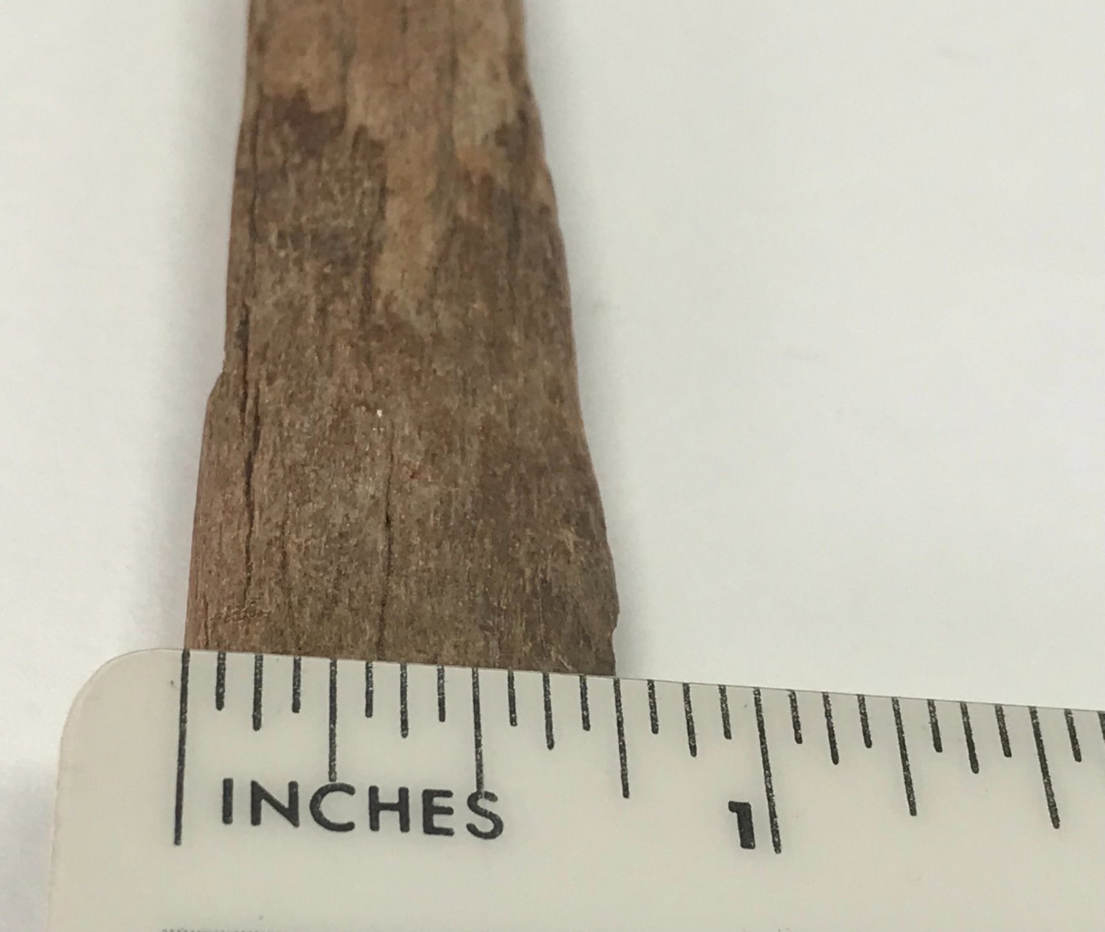 European Paleolithic Bone Point. - 6