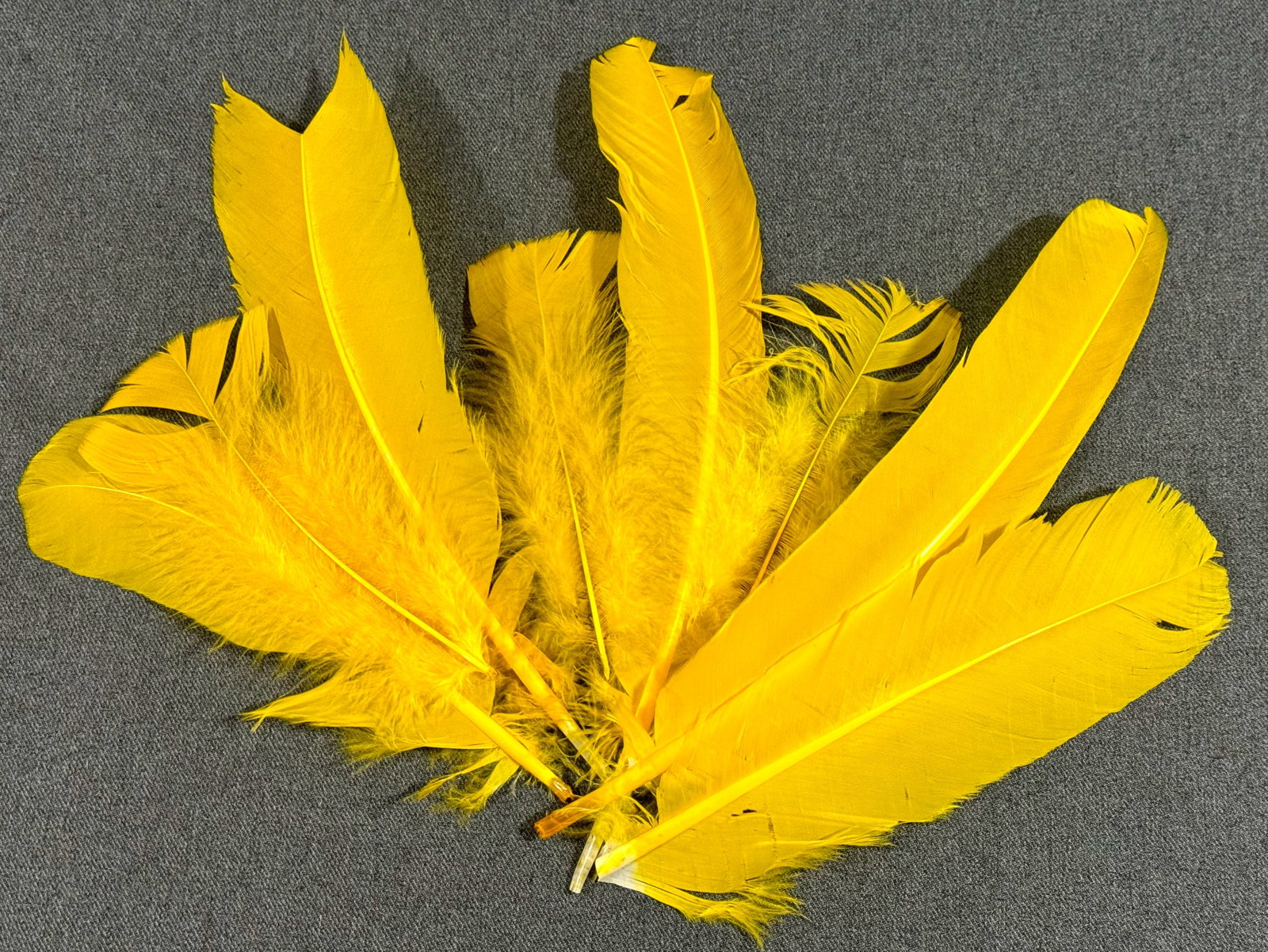 Vintage / Antique assorted millinery yellow feathers: IN HOUSE FLAT SHIPPING & HANDLING COST WITHIN ALL THE U.S. : 7 To bypass LiveShipping, and use our In-House shipping service for 7 or shipping combined for multiple lots, please select “Arrange 