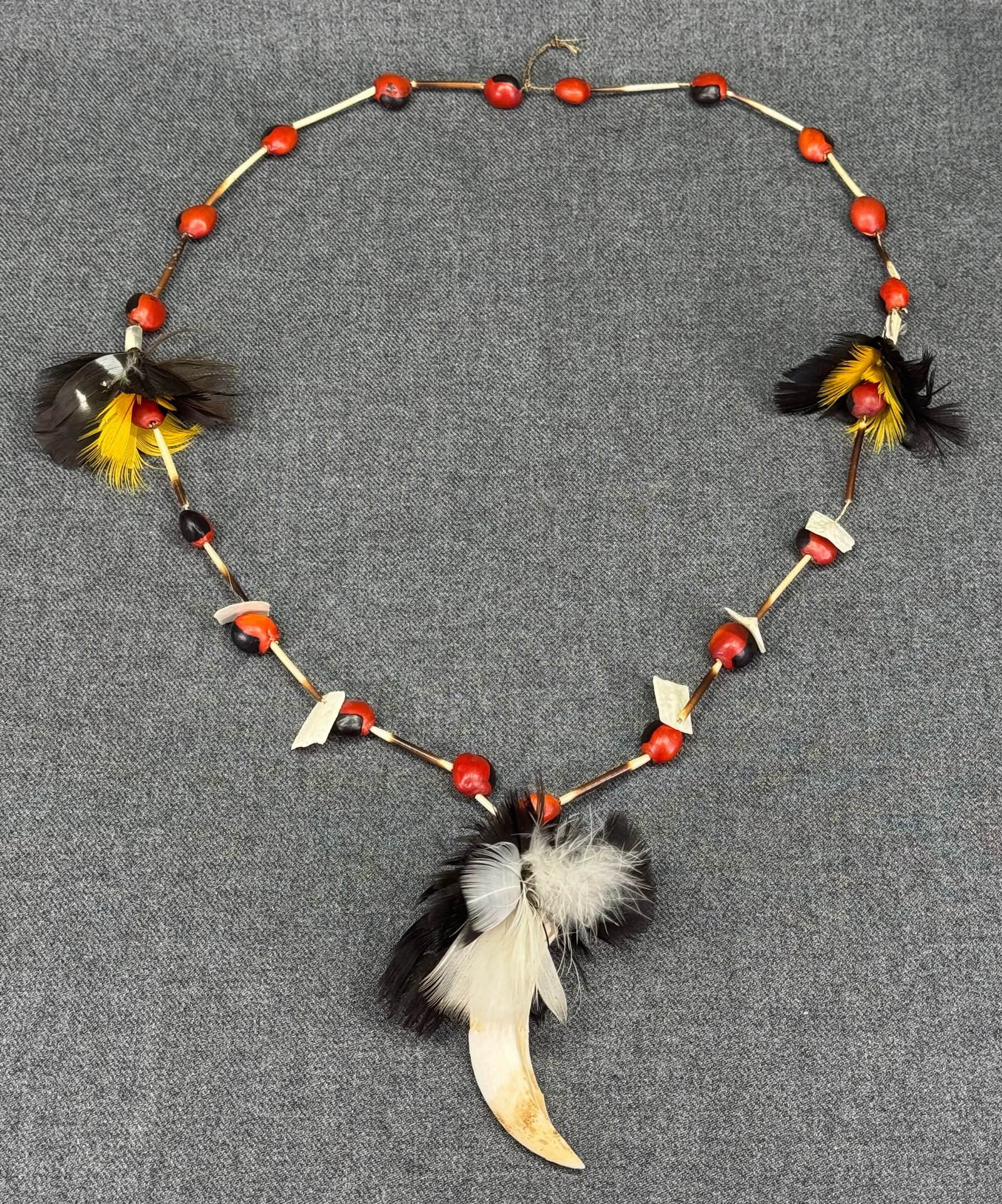 Amazonian Necklace.: Amazonian Necklace. Animal Tooth, feathers, porcupine quills, seeds, bone, fiber. Ex Collection Dr. Scott James Sandage, Evanston, Illinois. For measures please refer to the pictures that were taken w