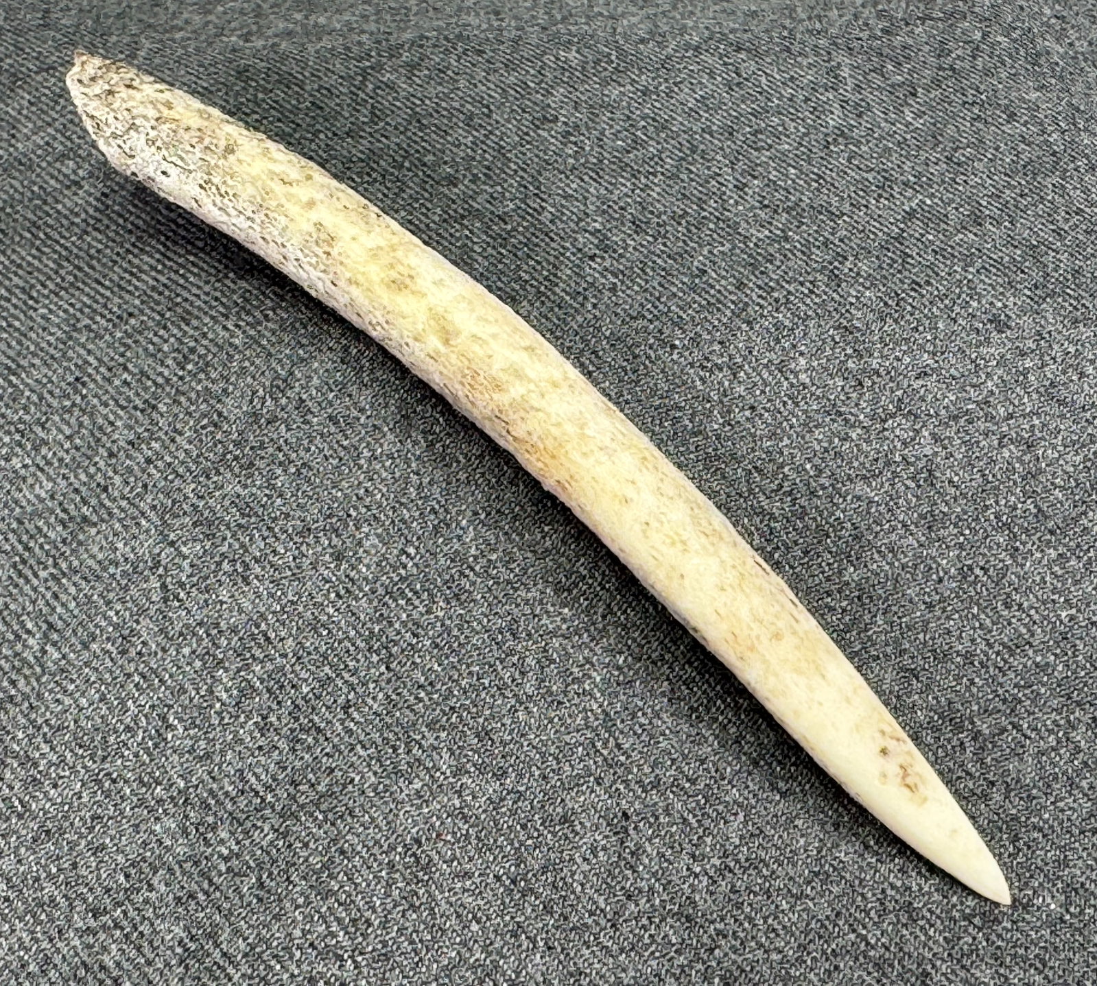 South American Selknam Tierra del Fuego Southern Argentina Bone Point. Circa 1800.: IN HOUSE FLAT SHIPPING & HANDLING COST WITHIN ALL THE U.S. : $7 To bypass LiveShipping, and use our In-House shipping service for $7 or shipping combined for multiple lots, please select “Arrang