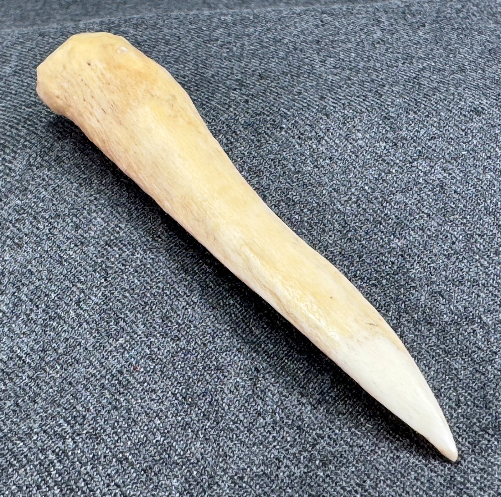 South American Selknam Tierra del Fuego Southern Argentina Bone Point. Circa 1800.: IN HOUSE FLAT SHIPPING & HANDLING COST WITHIN ALL THE U.S. : $7 To bypass LiveShipping, and use our In-House shipping service for $7 or shipping combined for multiple lots, please select “Arrang