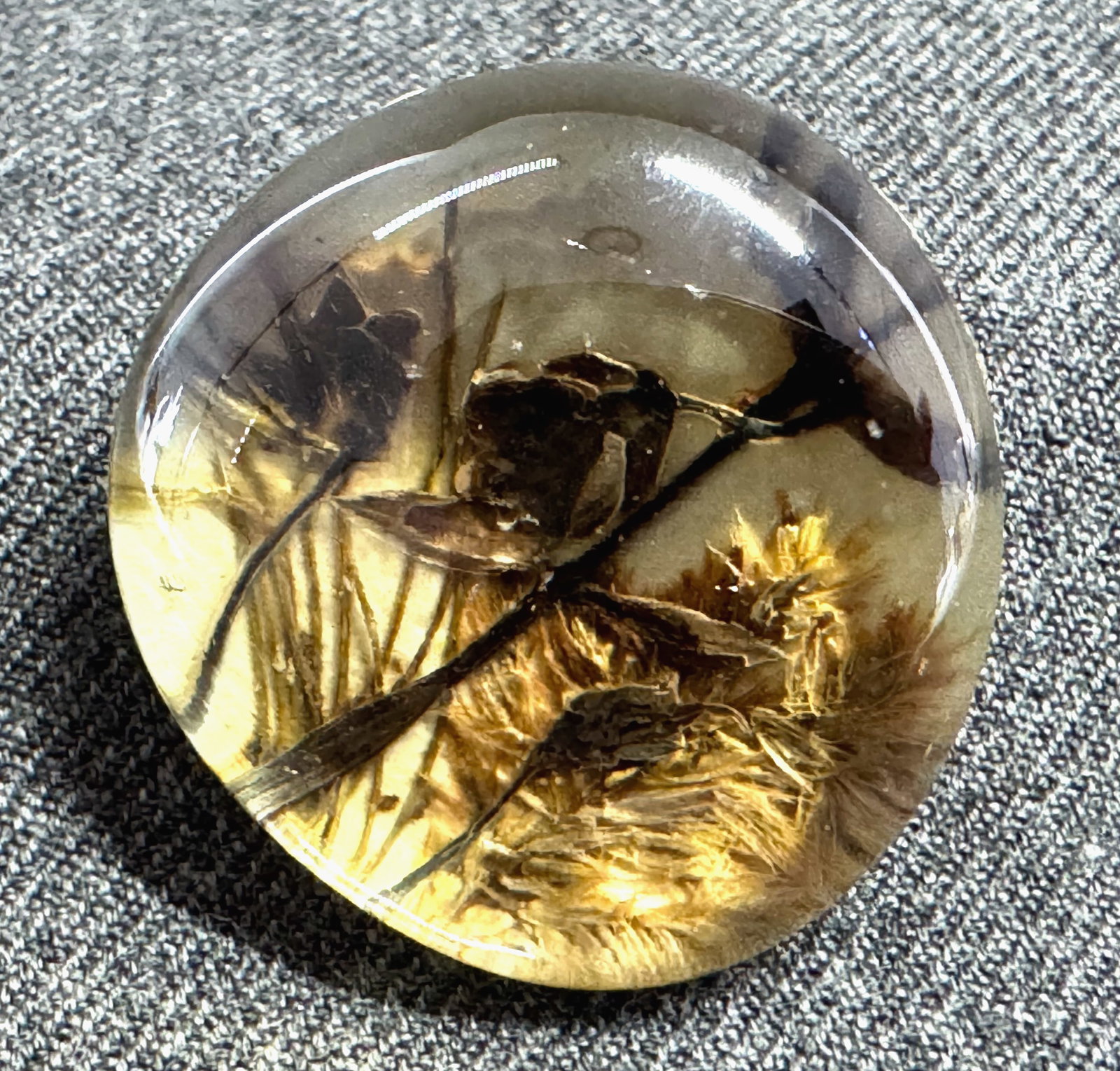 Vintage artisan crafted bird in a branch miniature dome glass pin brooch