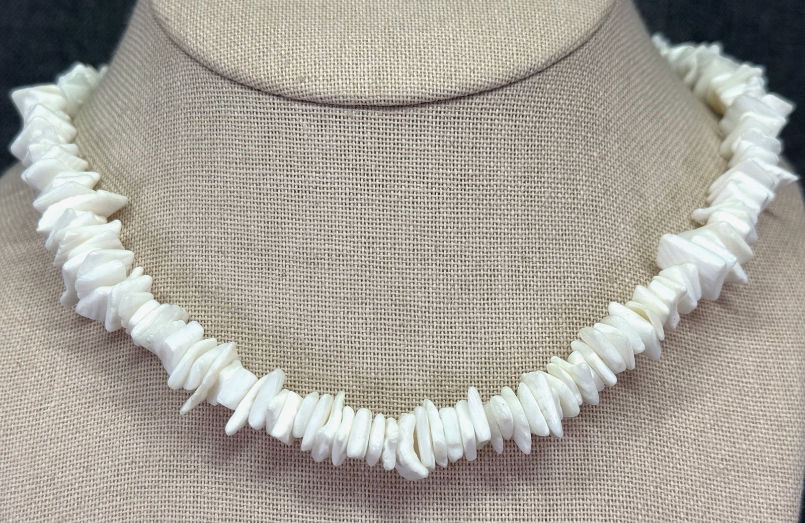 Chipped white puka shell choker necklace