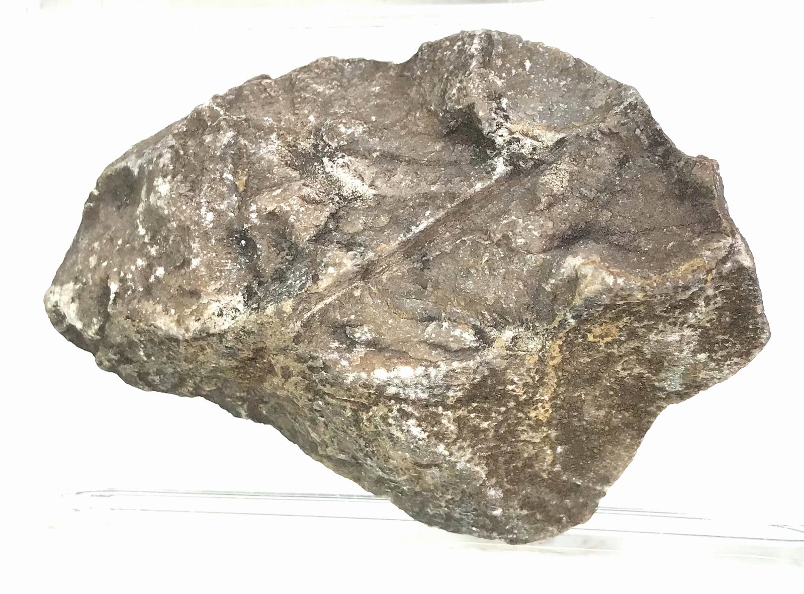 South American Patagonian Neolithic Stone Scraper: IN HOUSE FLAT SHIPPING & HANDLING COST WITHIN ALL THE U.S. : $7 To bypass LiveShipping, and use our In-House shipping service for $7 or shipping combined for multiple lots, please select “Arrang