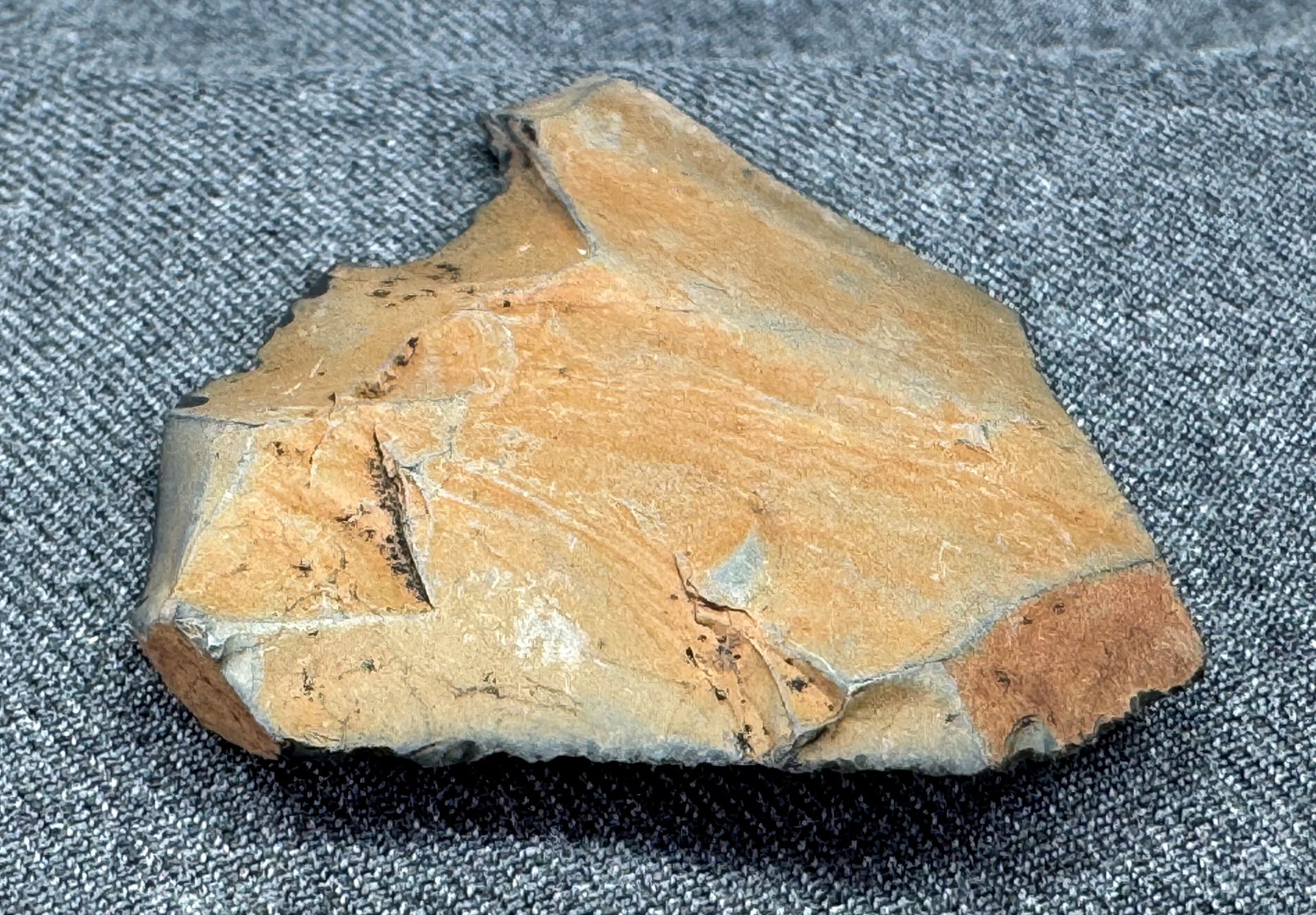 South American Patagonia Argentina Neolithic Stone Scraper. *c (1 of 7)