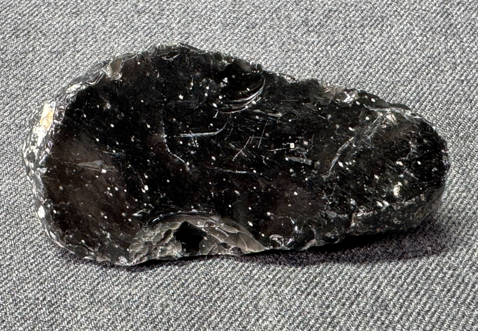South American Patagonia Argentina Neolithic Unfinished Stone Scraper *c (1 of 5)