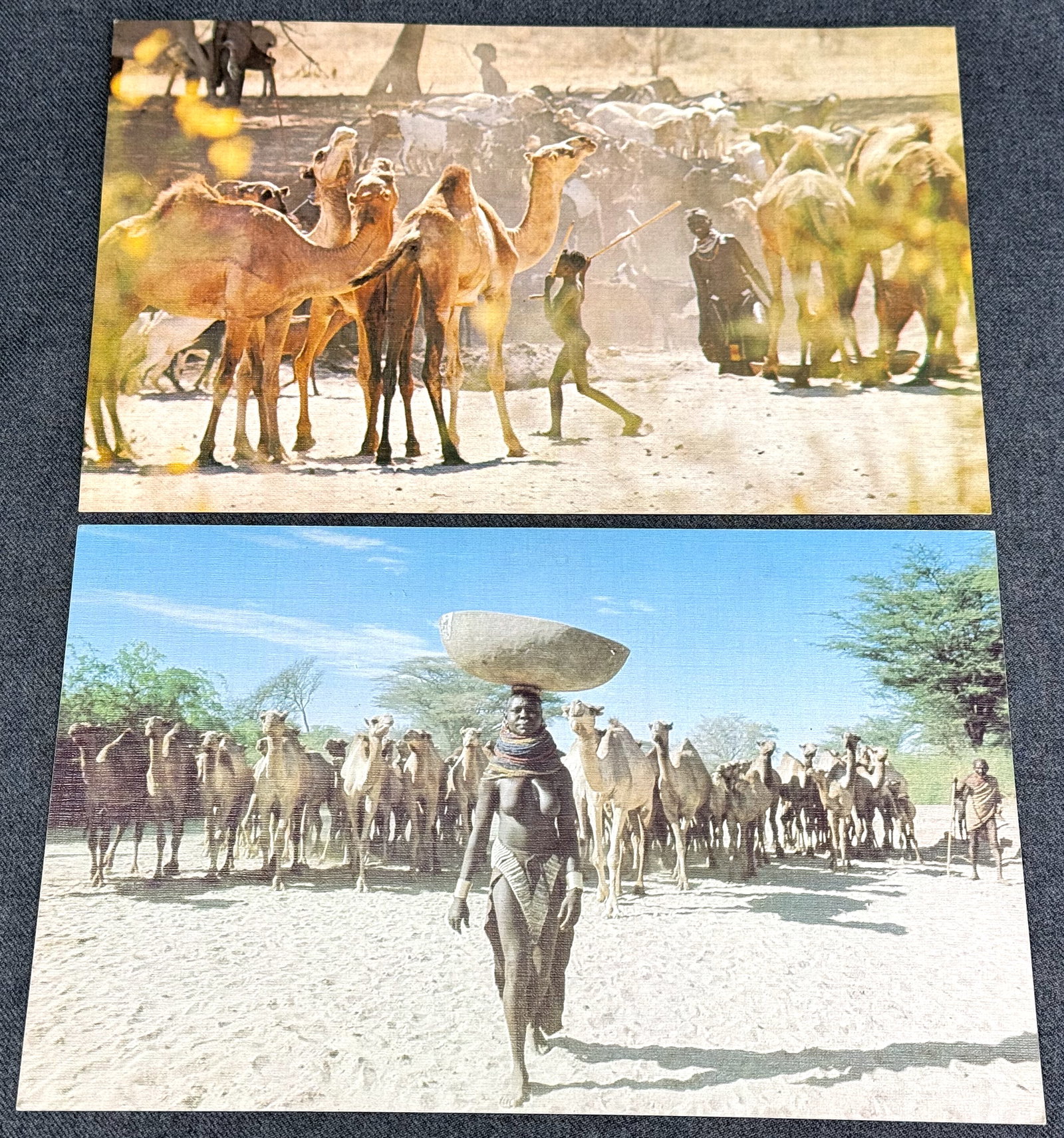Vintage 70s African Postcards. M+P Turkana Camels & Water Gatherer by Mirella Ricciardi. Lot of 2.: IN HOUSE FLAT SHIPPING & HANDLING COST WITHIN ALL THE U.S. : $7 To bypass LiveShipping, and use our In-House shipping service for $7 or shipping combined for multiple lots, please select “Arrang