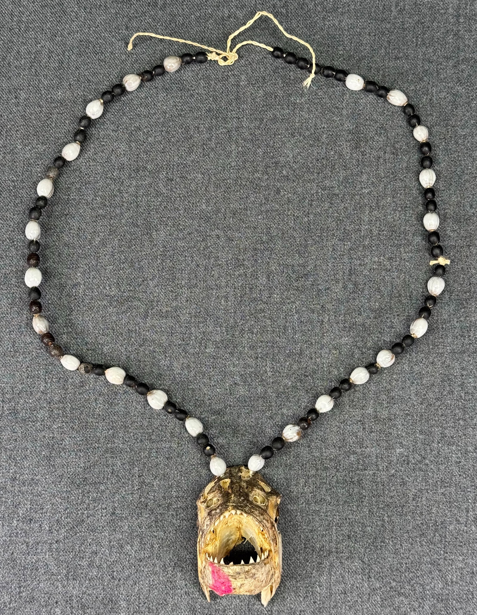 Amazonian Necklace. Piranha head, seeds, cord. *L (1 of 9)