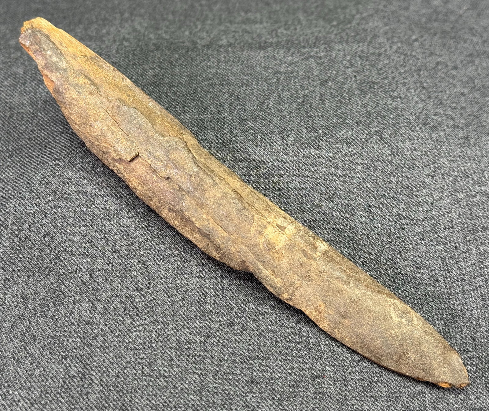 European Paleolithic Bone Point . - 2