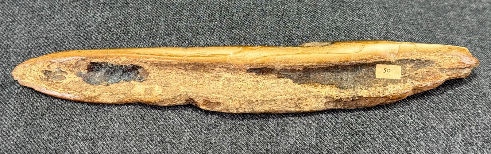 European Paleolithic Bone Point . - 3