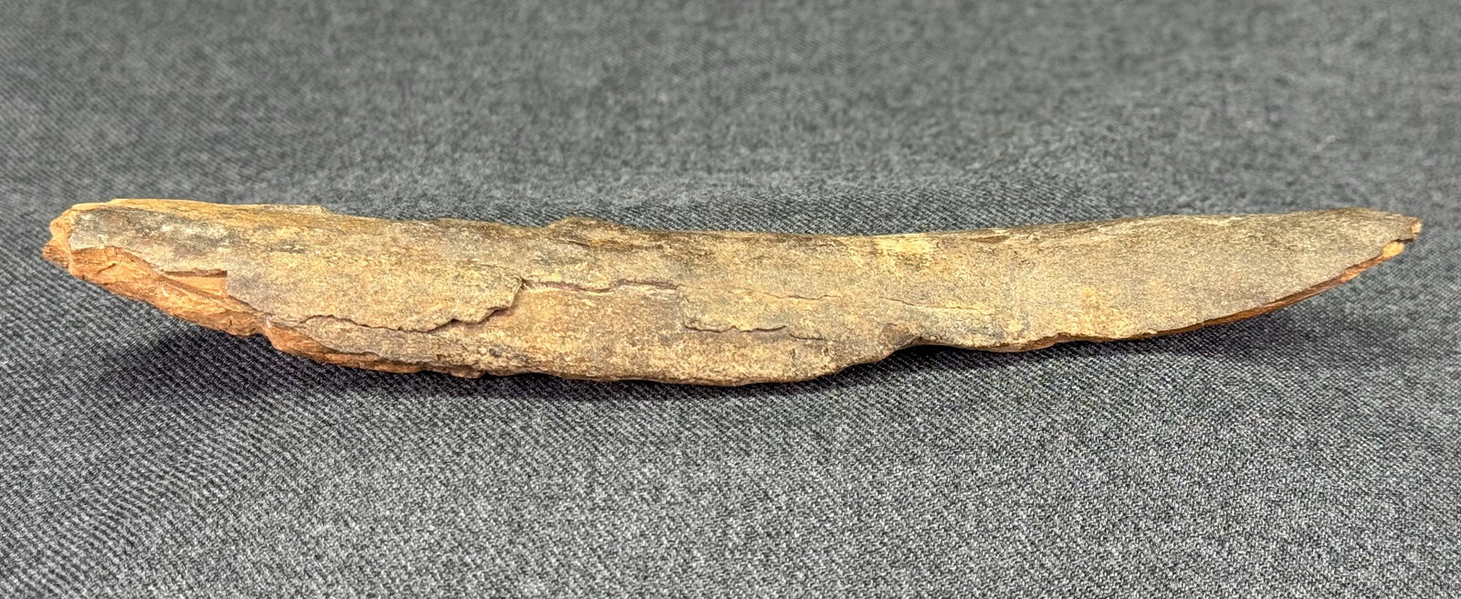 European Paleolithic Bone Point . - 5