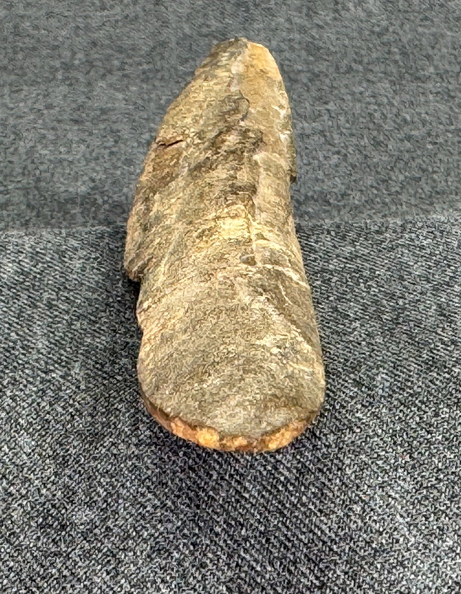 European Paleolithic Bone Point . - 6