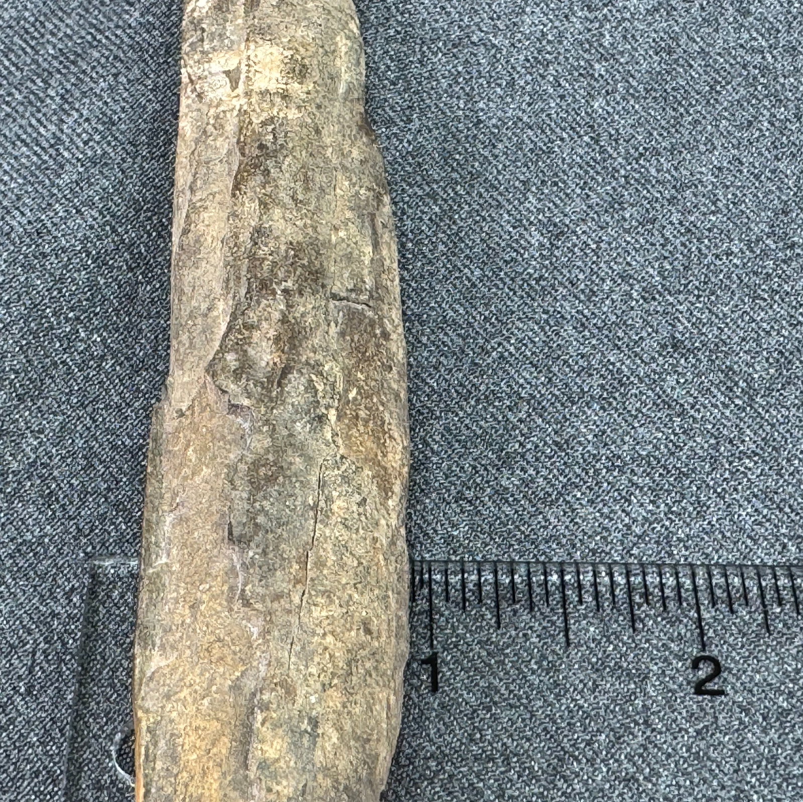 European Paleolithic Bone Point . - 8