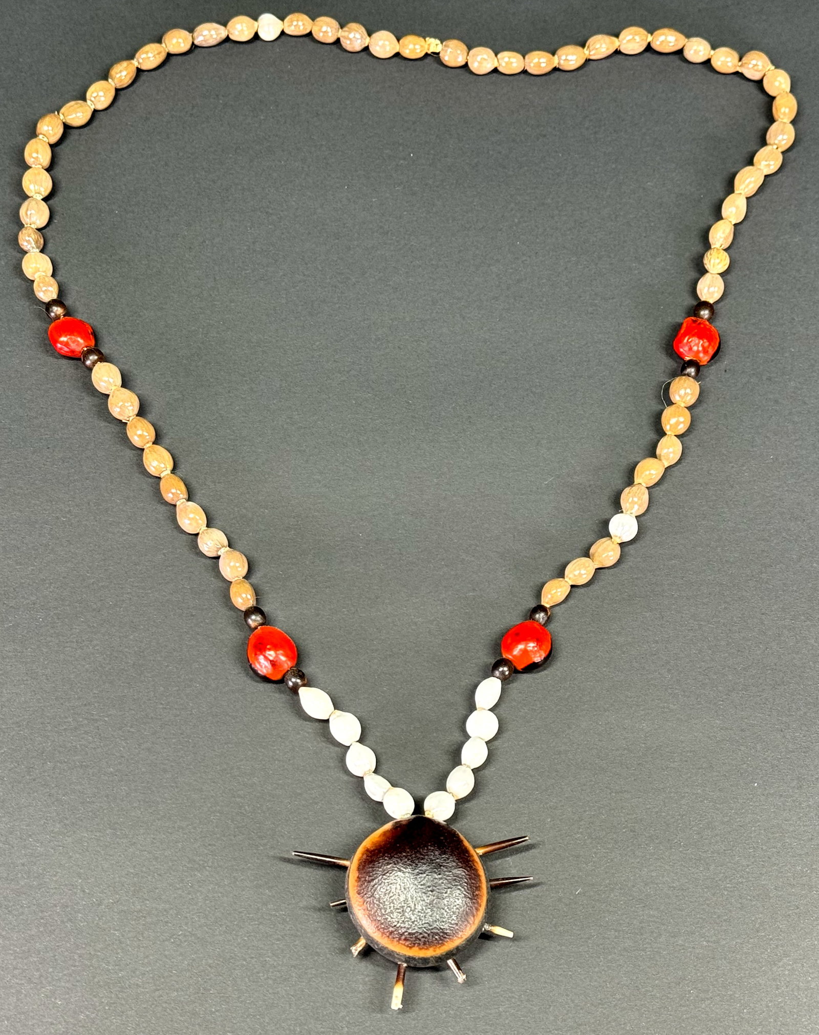 Amazonian Necklace. Seed, pod, porcupine quills.: AIN HOUSE FLAT SHIPPING & HANDLING COST WITHIN ALL THE U.S. : $10 To bypass LiveShipping, and use our In-House shipping service for $10 or shipping combined for multiple lots, please select “Arr