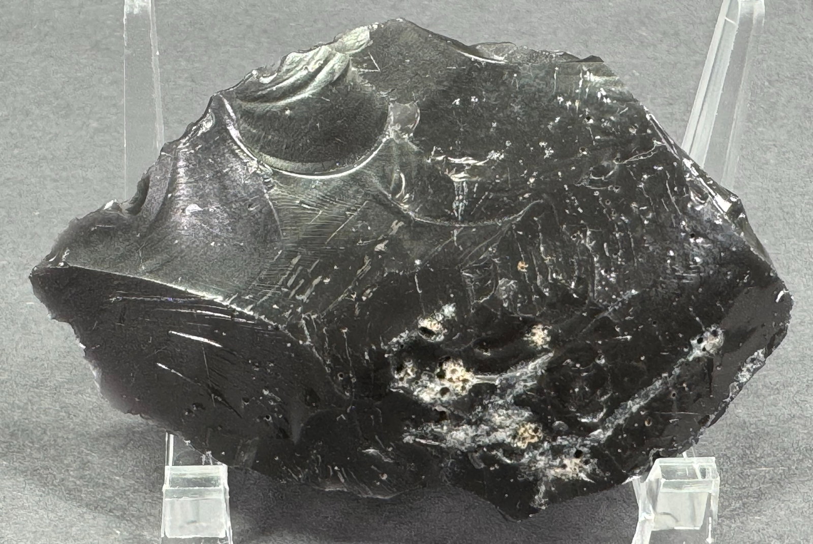 South American Patagonian Neolithic Stone Scraper.: IN HOUSE FLAT SHIPPING & HANDLING COST WITHIN ALL THE U.S. : $7 To bypass LiveShipping, and use our In-House shipping service for $7 or shipping combined for multiple lots, please select “Arrang