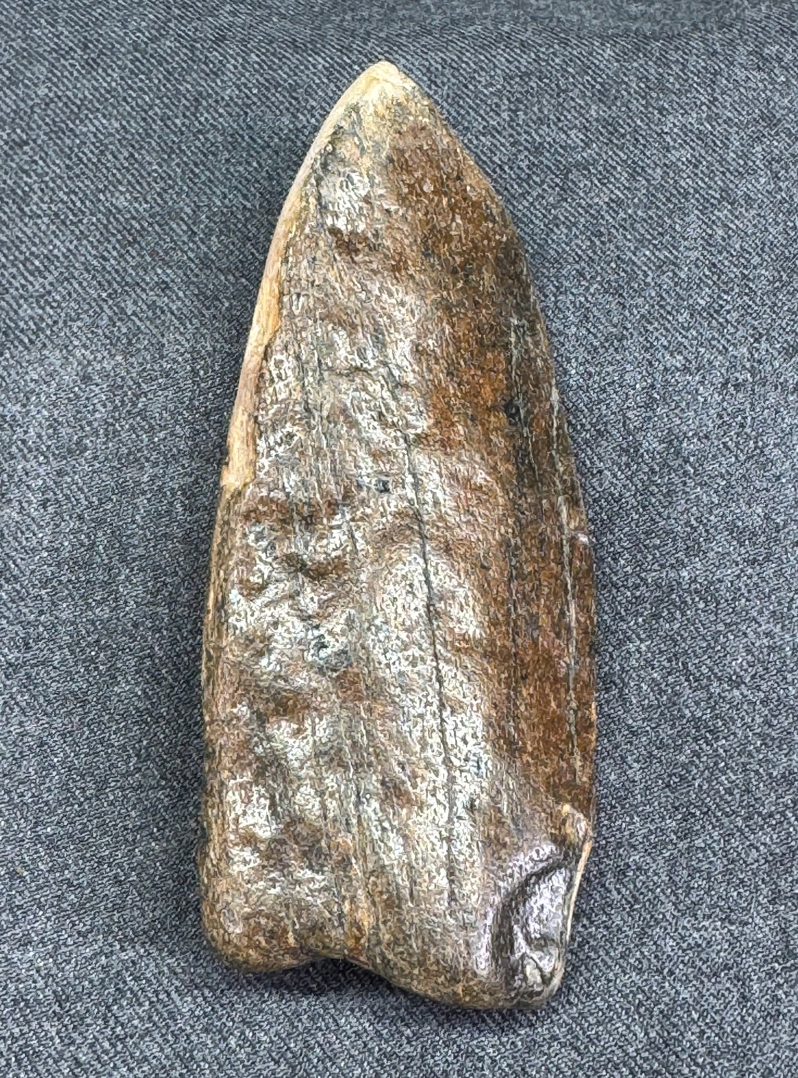 European Magdalenian Bone Point. Old paper label. #108: European Magdalenian Bone Point. Old paper label. For measures please refer to the pictures taken with a measuring tape. IN HOUSE FLAT SHIPPING & HANDLING COST WITHIN ALL THE U.S. : $7 To bypass LiveS