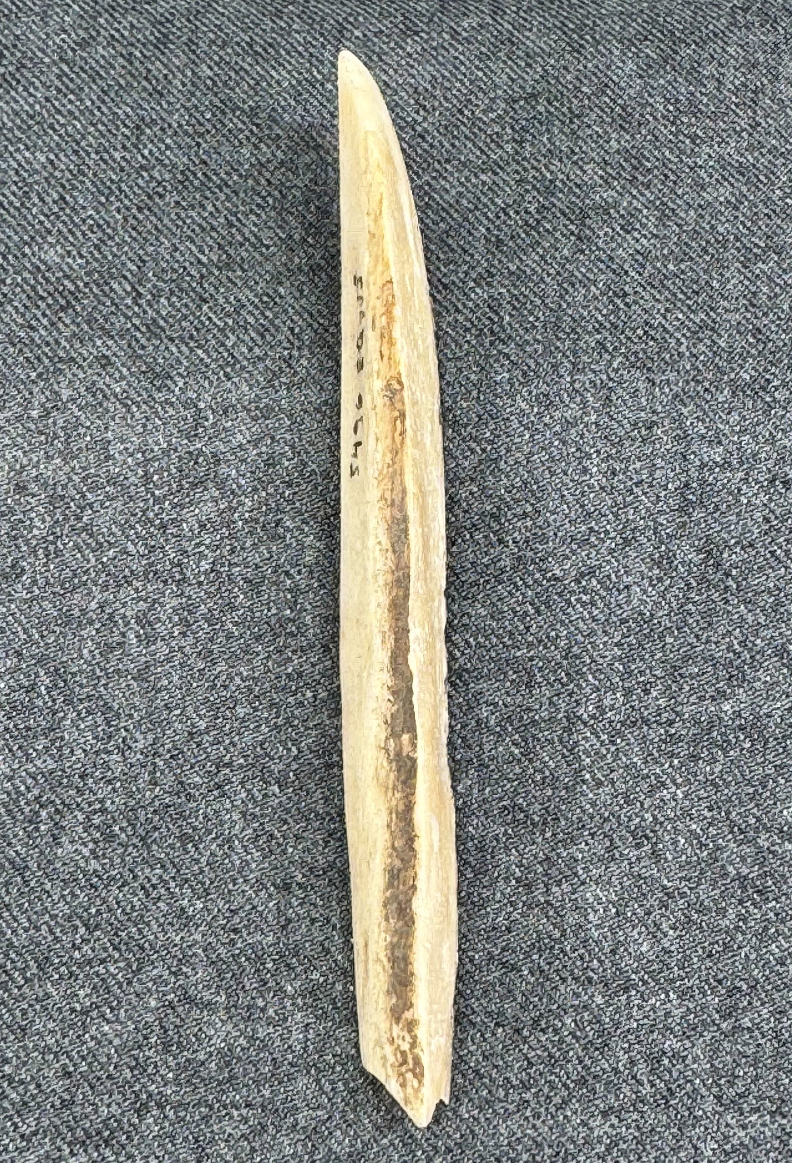 European Magdalenian Bone Point. Written and numbered in black ink.: European Magdalenian Bone Point. Written and numbered in black ink. For measures please refer to the pictures taken with a measuring tape. IN HOUSE FLAT SHIPPING & HANDLING COST WITHIN ALL THE U.S. : 