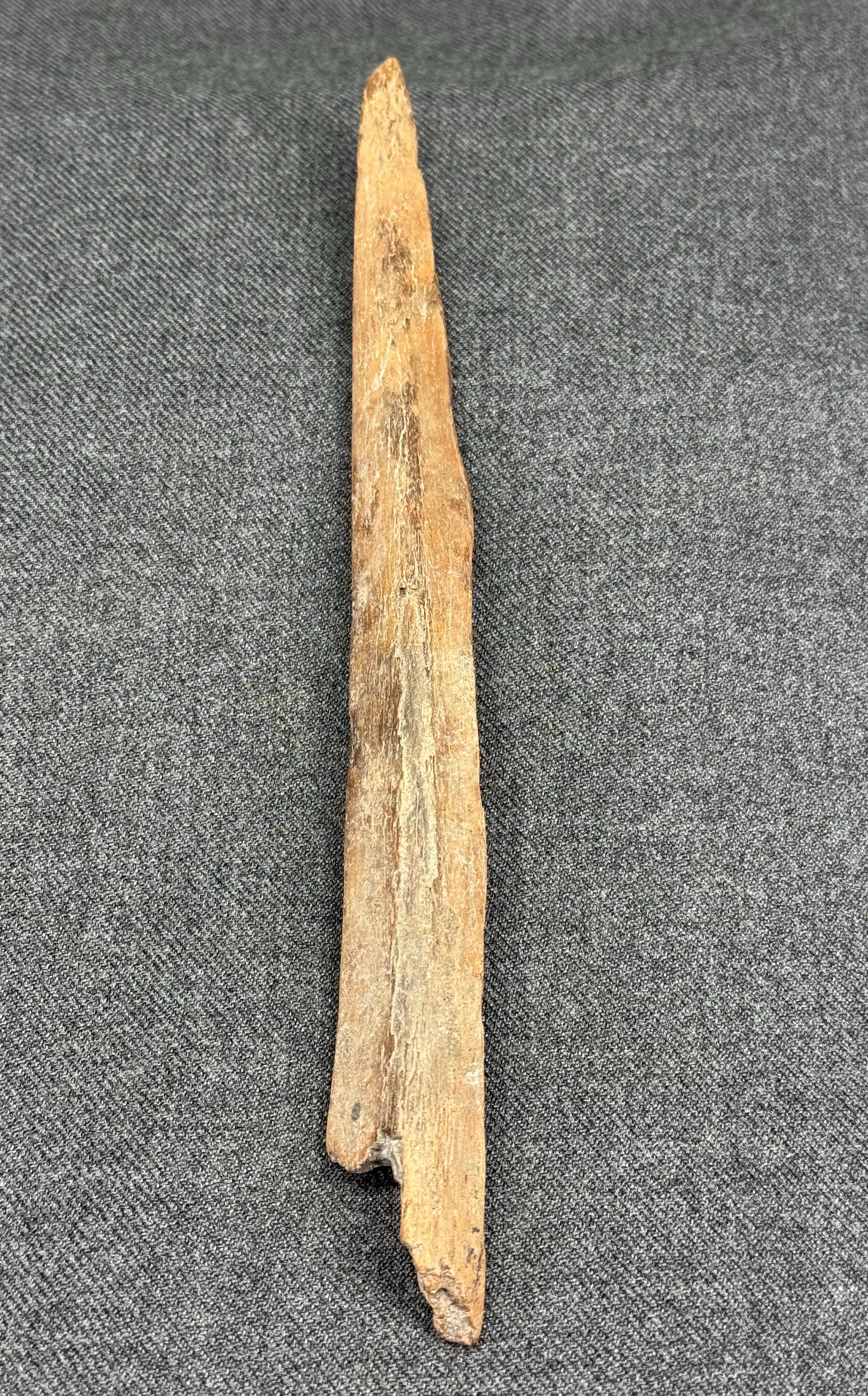 European Magdalenian Bone Point. #81: European Magdalenian Bone Point. Old paper label. For measures please refer to the pictures taken with a measuring tape. IN HOUSE FLAT SHIPPING & HANDLING COST WITHIN ALL THE U.S. : $7 To bypass LiveS