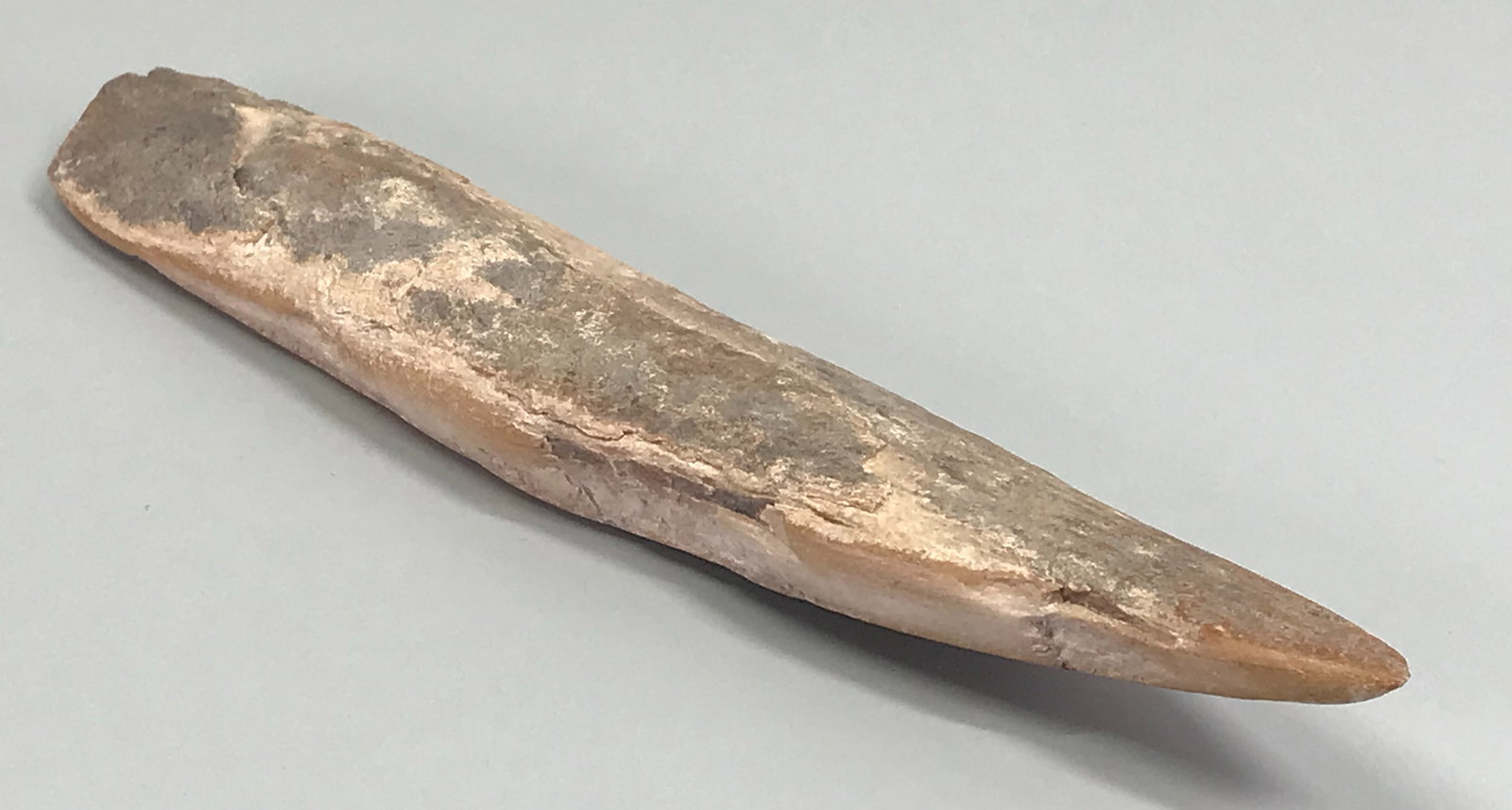European Paleolithic Bone Point.: IN HOUSE FLAT SHIPPING & HANDLING COST WITHIN ALL THE U.S. : 7 To bypass LiveShipping, and use our In-House shipping service for 7 or shipping combined for multiple lots, please select “Arrange 
