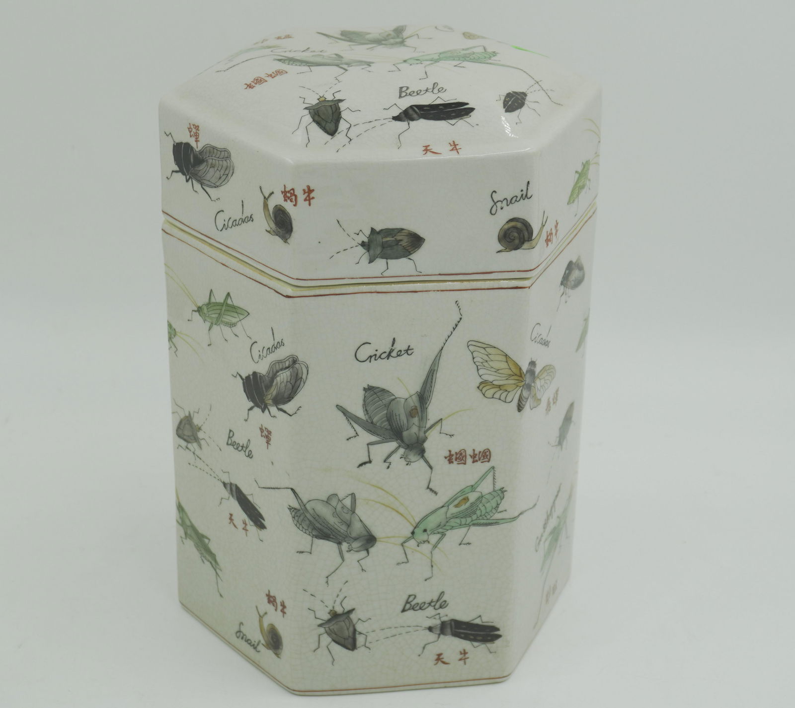 INSECTS DECORATIVE PORCELAIN JAR (1 of 7)