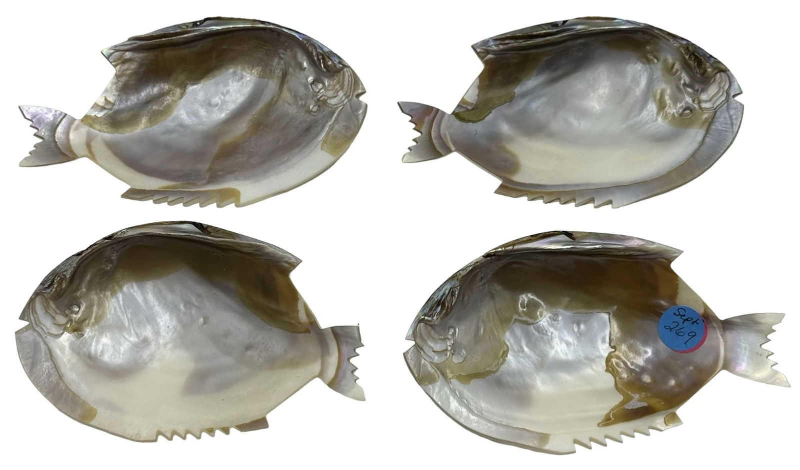 4 ABALONE SHELL CARVED FISH CAVIAR DISH (1 of 7)