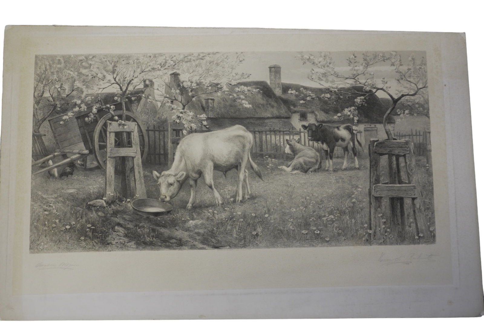 J CARLETON WIGGINS (1848-1932) COWS ENGRAVING (1 of 7)