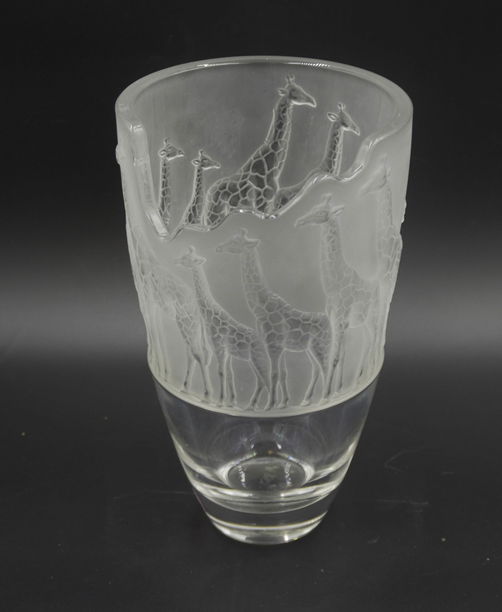 NACHTMANN CRYSTAL GIRAFFES ON PARADE (1 of 7)