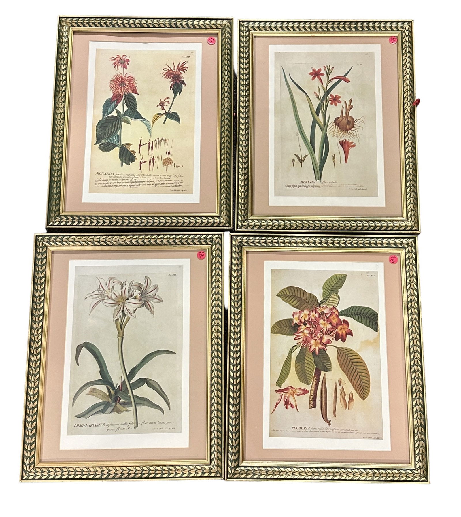 4 FRAMED BOTANICAL OFFSET PRINTS ITALY (1 of 2)