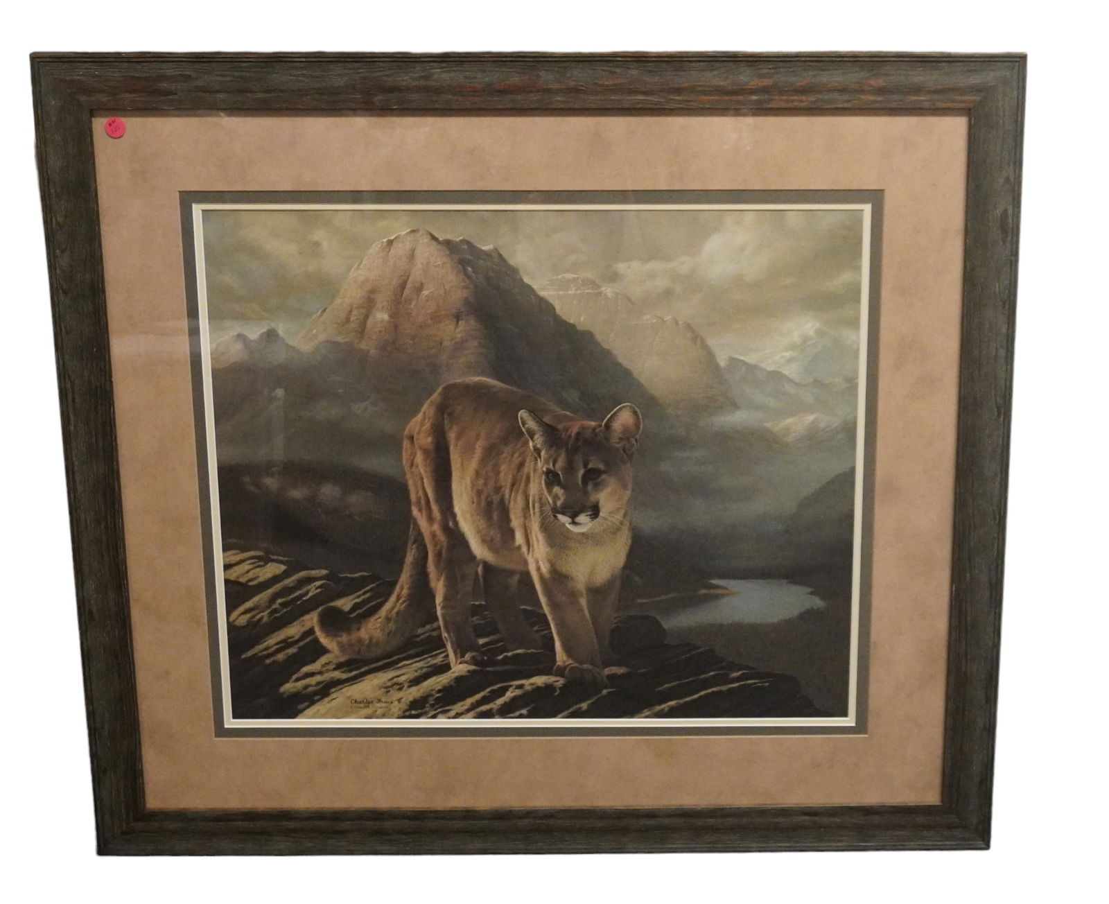 CHARLES FRACE "COUGAR" SIGNED ART PRINT (1 of 5)