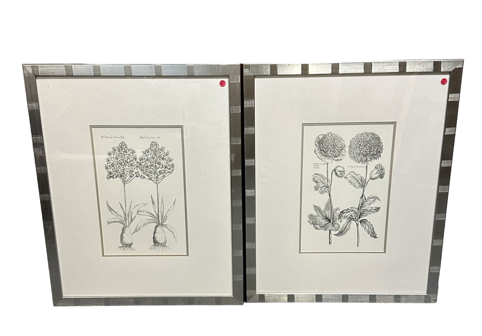2 LARGE FRAMED BOTANICAL PRINTS (1 of 2)